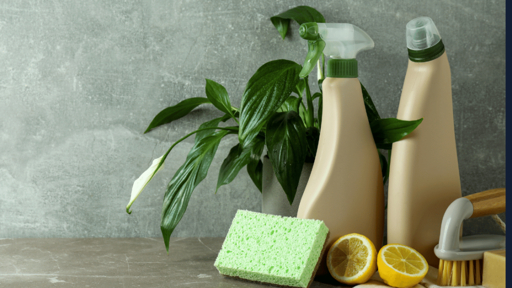 Eco-Friendly Ingredients for Safer Cleaning