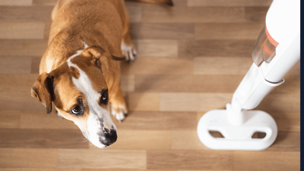 Key Features to Look for in Pet-Safe Floor Cleaners