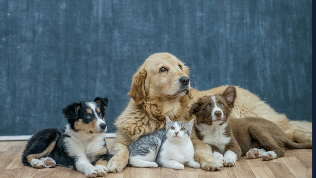 Pet-Safe Floor Cleaners