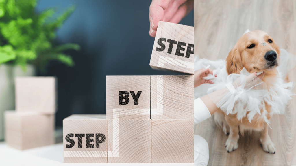 Step-by-Step Guide to Maintaining Clean Floors with Dogs