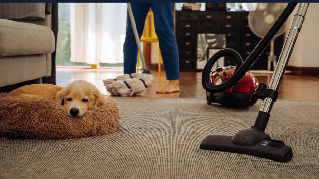 Top 10 Pet-Safe Floor Cleaners